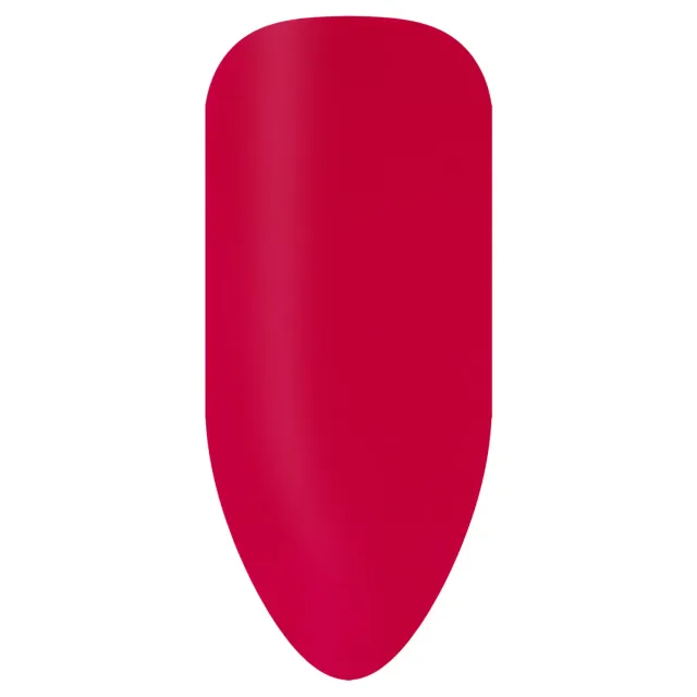 BioSculpture Biogel Stix No. 173 vzorník 1 ks