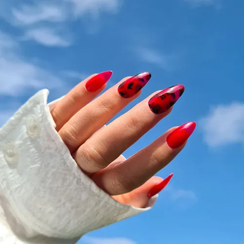 Lecenté Jelly gel lak