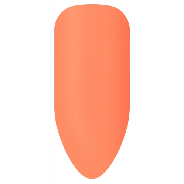 BioSculpture Biogel Stix No. 196 gelový vzorník 1 ks