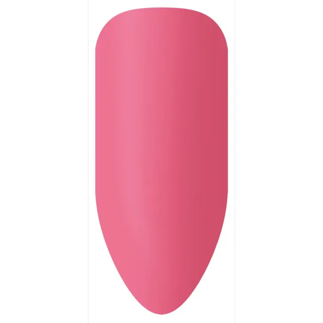 BioSculpture BioGel Stix No. 65 vzorník odstínu