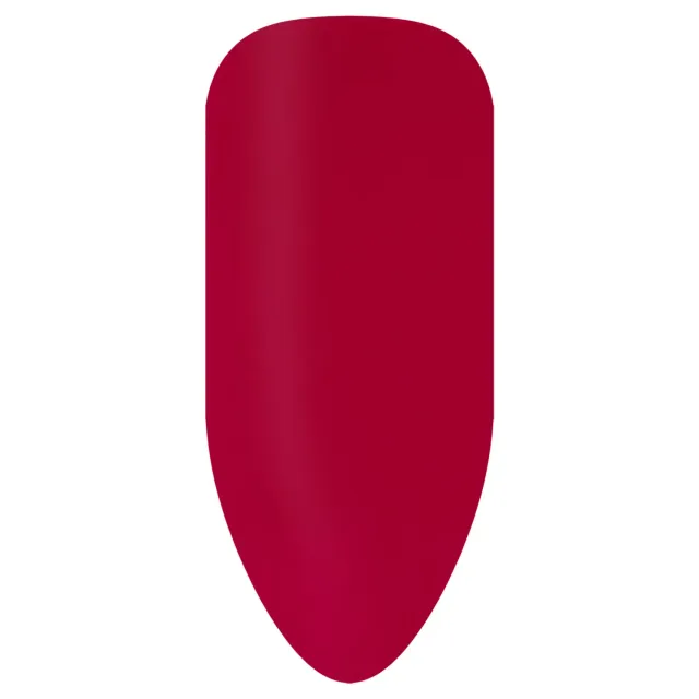 BioSculpture Biogel Stix No. 2016 vzorník gelu 1 ks