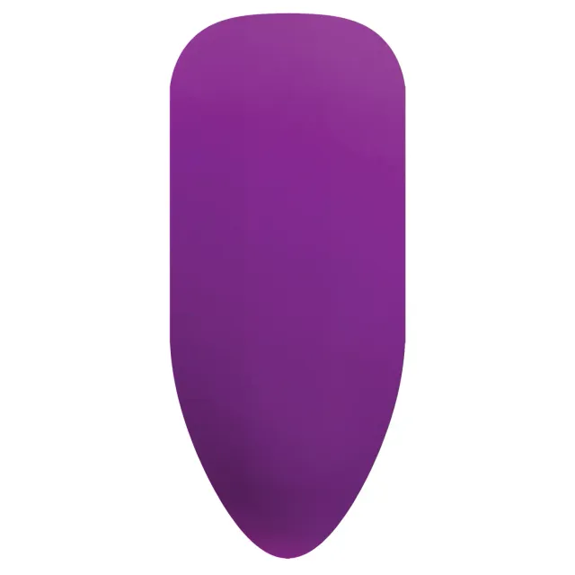 BioSculpture Biogel Stix No. 174 (X1) vzorník na nehty