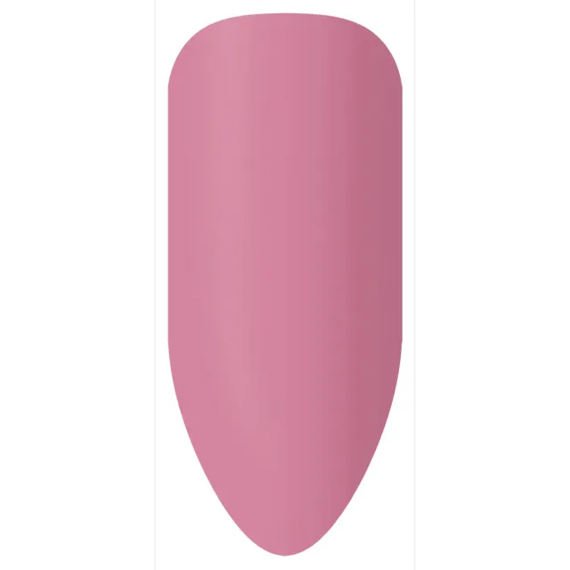 BioSculpture Biogel Stix No. 87 vzorník gelu 1 ks