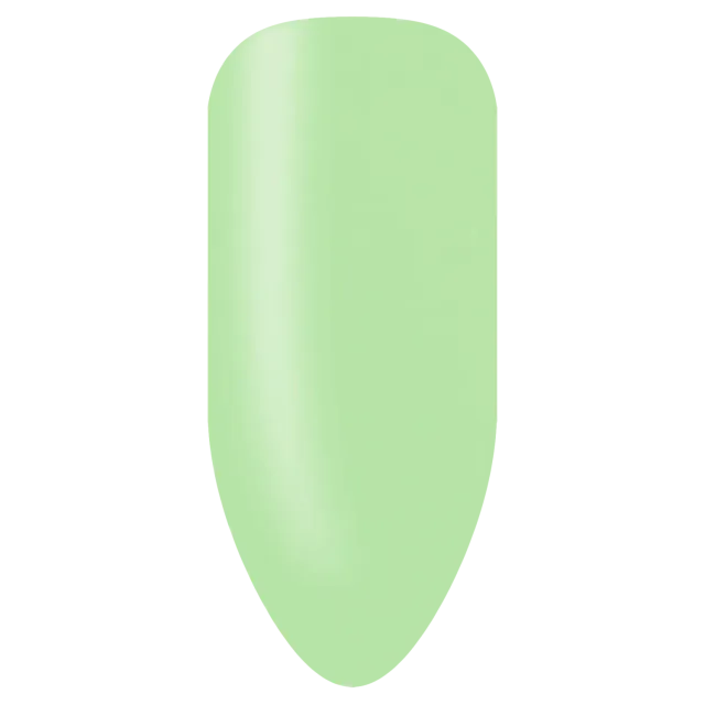BioSculpture Evo Painted Stix Carmo vzorník 1 ks